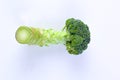 Fresh green broccoli isolated white background Royalty Free Stock Photo