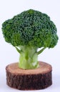 Fresh green broccoli isolated white background Royalty Free Stock Photo