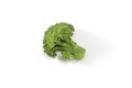 Fresh broccoli isolated on white background Royalty Free Stock Photo