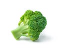 Fresh green broccoli isolated on a white background. Vegetarian food. Royalty Free Stock Photo