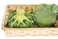 Fresh green broccoli isolated on white Royalty Free Stock Photo