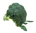 Fresh Green Broccoli With Leaves Cutout On White