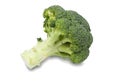 Fresh and Green Broccoli Pieces Royalty Free Stock Photo