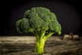 Fresh green broccol Royalty Free Stock Photo