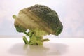 Fresh green broccoli on a white background. Macro-photo of fresh vegetable. for a diet and healthy food. Preparation for natural Royalty Free Stock Photo