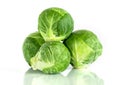 The Fresh green brussel sprouts vegetable on white background Royalty Free Stock Photo