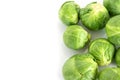 The Fresh green brussel sprouts vegetable on white background Royalty Free Stock Photo