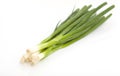 Fresh green bunch of onion