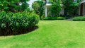 Fresh green grass smooth lawn as carpet with curve form of bush, trees on the background, good maintenance landscapes in garden