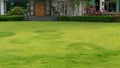 Fresh green burmuda grass smooth lawn as a carpet with curve form of bush, trees on the background, good maintenance landscapes Royalty Free Stock Photo