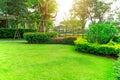 Fresh green Burmuda grass smooth lawn as a carpet with curve form of bush, trees on the background, good maintenance lanscapes in Royalty Free Stock Photo