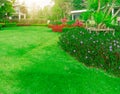Burmuda grass, smooth lawn in good maintenance lanscapes with curve form of bush, trees on the background Royalty Free Stock Photo