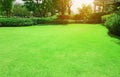 Fresh green Burmuda grass smooth lawn with curve form of bush, trees on the background in the house`s garden  under morning Royalty Free Stock Photo