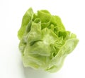 Fresh green Butter head lettuce vegetable for salad isolated on white background Royalty Free Stock Photo