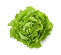 Fresh green butter lettuce head isolated on white, top view Royalty Free Stock Photo