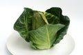 Fresh Green Cabbage