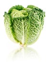 Fresh green cabbage fruit isolated on white Royalty Free Stock Photo