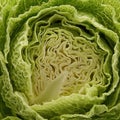 Fresh green cabbage with intricate leaf patterns and textures, AI Generated Royalty Free Stock Photo