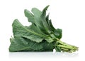 Fresh Green Cabbage Leaf Royalty Free Stock Photo