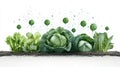 Fresh green cabbages and lettuce plants growing in soil with floating green bubbles Royalty Free Stock Photo