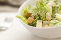 Fresh green Caeser Salad