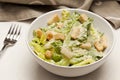 Fresh green Caeser Salad Royalty Free Stock Photo