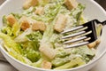 Fresh green Caeser Salad Royalty Free Stock Photo