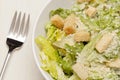 Fresh green Caeser Salad Royalty Free Stock Photo