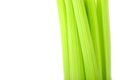 Fresh green celery isolated on white