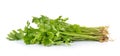 Fresh green celery isolated on white background Royalty Free Stock Photo