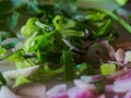 Fresh green celery leaves on cutting board Royalty Free Stock Photo