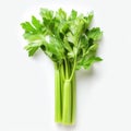 Fresh green celery stalks with vibrant leaves, isolated on a white background, showcasing natural crispness and organic Royalty Free Stock Photo