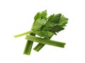 Fresh green celery sticks and leaves isolated on white, top view Royalty Free Stock Photo