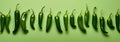 Fresh Green Chile Peppers: Add Some Spice to Your Dishes! Royalty Free Stock Photo