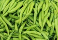 Fresh Green chilies Royalty Free Stock Photo