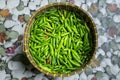 fresh green chilies in traditional bamboo basket Royalty Free Stock Photo