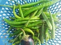 Fresh green chillies in basket