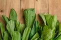 Fresh Green Chinese Cabbage, Bok Choy, Pok Choi or Pa Royalty Free Stock Photo