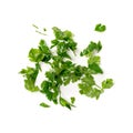 Fresh Green Chopped Parsley Leaves Isolated on White Background