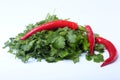 Fresh green cilantro, coriander leaves and chili pepper isolated on white bacground. Royalty Free Stock Photo