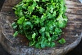 Fresh green cilantro, coriander leaves with slice on wooden surface Royalty Free Stock Photo