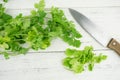 Fresh green cilantro, coriander leaves Royalty Free Stock Photo