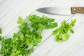 Fresh green cilantro, coriander leaves Royalty Free Stock Photo