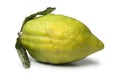 Fresh green Citrus medica Royalty Free Stock Photo