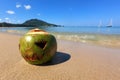 Fresh green coconut with a carved Halloween face.  Lying in the sand on the beach of the sea at sunny day Royalty Free Stock Photo