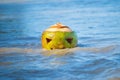 Fresh green coconut with a scary face carved on it like on a lantern jack in the water on the beach. Tropical halloween symbol.