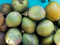 Fresh green coconut seed fruit on display to be sold as iced drink