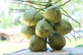 Fresh green coconut, sweet, fragrant and delicious, blurred background