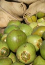 Fresh green coconuts