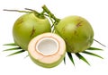 Fresh green coconuts with one opened to reveal the white interior and liquid Royalty Free Stock Photo